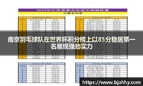 南京羽毛球队在世界杯积分榜上以85分稳居第一名展现强劲实力