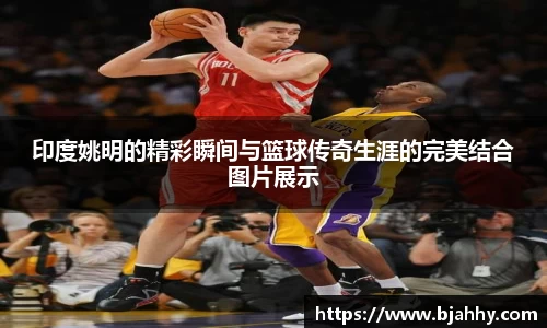 印度姚明的精彩瞬间与篮球传奇生涯的完美结合图片展示